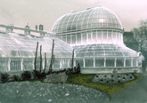 Palm House Botanic Gardens